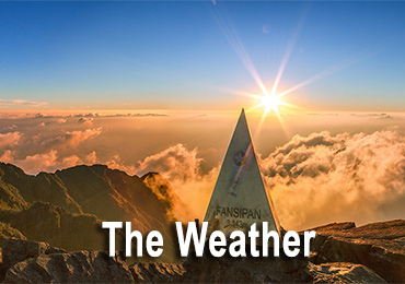 The-Weather