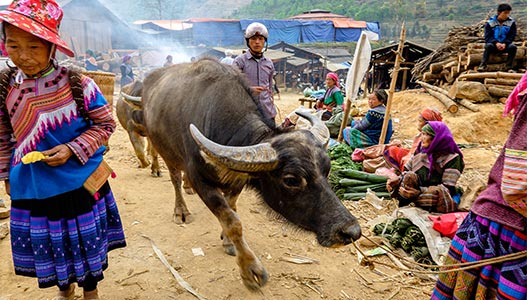 Discover Can Cau and Bac Ha markets 3 days 4 nights